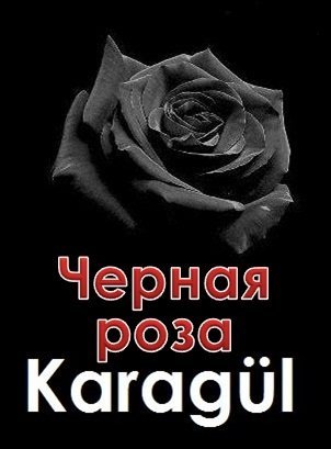 Черная роза / Karagül Все серии (2013) смотреть онлайн турецкий сериал на русском языке