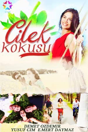Запах клубники / Cilek kokusu Все серии (2015) смотреть онлайн турецкий сериал на русском языке
