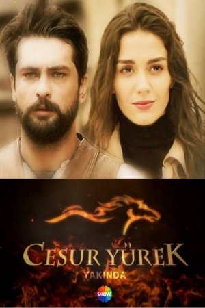 Храброе сердце / Cesur Yurek Все серии (2016) смотреть онлайн турецкий сериал на русском языке