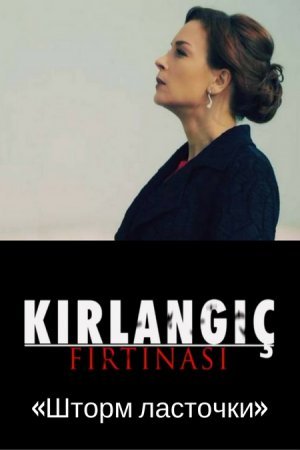 Шторм ласточки / Kirlangic Firtinasi Все серии (2017) смотреть онлайн турецкий сериал на русском языке