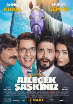 Безумная семейка / Ailecek Saskiniz (2018) смотреть онлайн турецкий фильм на русском языке