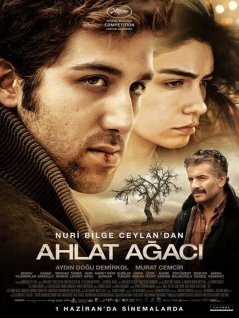 Дикая груша / Ahlat Agaci (2018) смотреть онлайн турецкий фильм на русском языке
