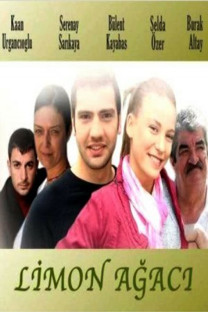 Лимонное дерево / Limon Agaci Все серии (2008) смотреть онлайн турецкий сериал на русском языке