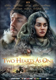 Слияние двух сердец / Birlesen Gonuller (2014) смотреть онлайн турецкий фильм на русском языке